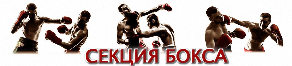 Бокс в Воронеже
