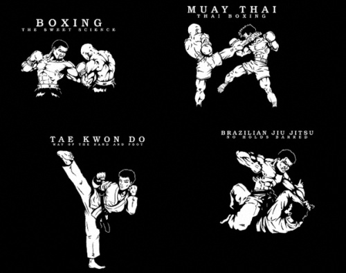 Виды боевых искусств