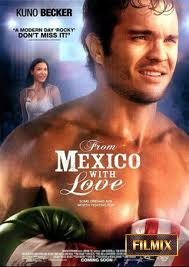 Фильм Ринг. Постер к фильму из Мексики с любовью